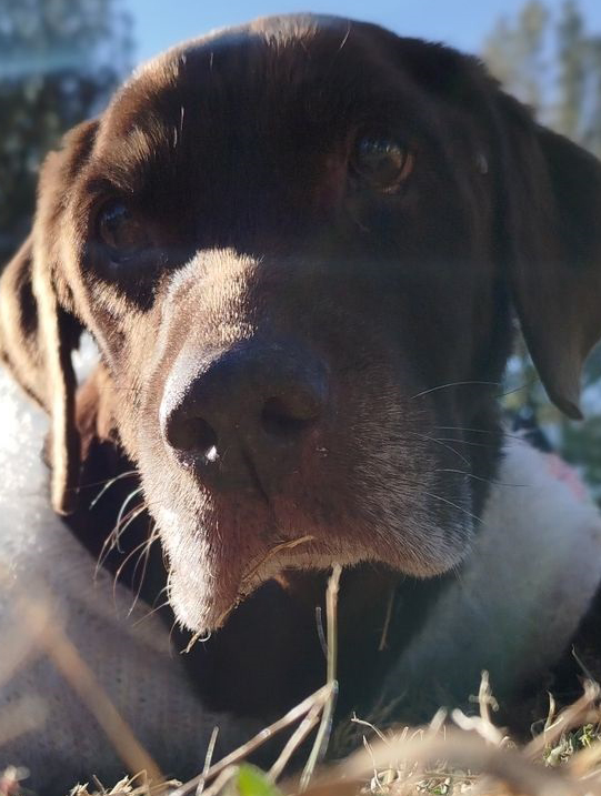 Imagen de publicación